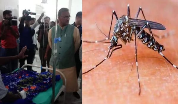 State not sponsor dengue